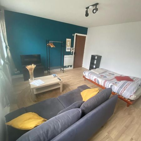 Dijon - Grand Studio Proche Parc Darcy & Gare Екстериор снимка