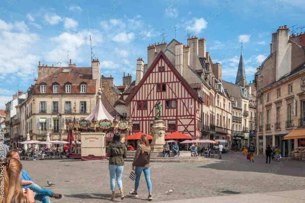 Dijon - Grand Studio Proche Parc Darcy & Gare Екстериор снимка